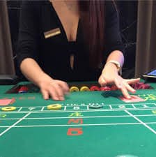 xx000e VIP member exclusive ဆုချီးမြှင့်မှု cashback bonus